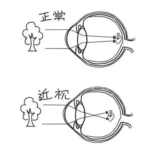 微信图片_2025-08-29_142226_329.jpg