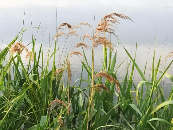 640 (4).png 640 (4).png