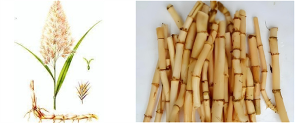 ScreenShot_2025-10-17_162120_185.jpg ScreenShot_2025-10-17_162120_185.jpg