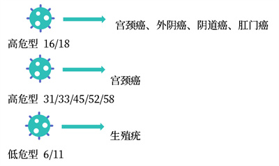微信图片_2026-03-27_091501_167.jpg 微信图片_2026-03-27_091501_167.jpg