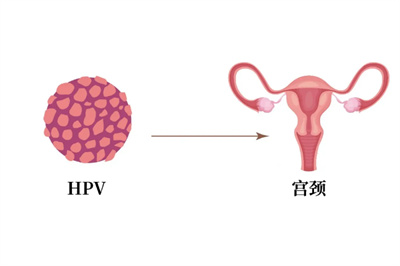 微信图片_2026-03-27_091509_897.jpg 微信图片_2026-03-27_091509_897.jpg