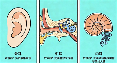 微信图片_2026-03-27_091606_222.jpg 微信图片_2026-03-27_091606_222.jpg