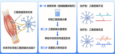 微信图片_2026-03-27_091802_059.jpg 微信图片_2026-03-27_091802_059.jpg